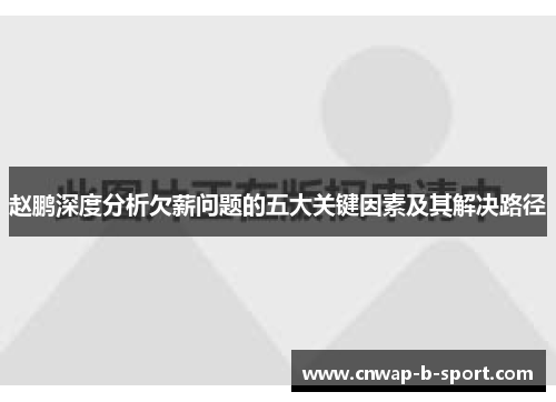 赵鹏深度分析欠薪问题的五大关键因素及其解决路径 赵鹏深度分析欠薪问题的五大关键因素及其解决路径