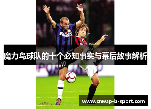 魔力鸟球队的十个必知事实与幕后故事解析